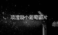 項瀅璇小葡萄圖片