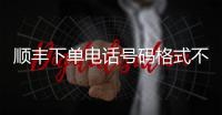 順豐下單電話號碼格式不正確怎么弄（順豐下單電話）
