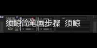 須鯨簡筆畫步驟  須鯨簡筆畫畫法