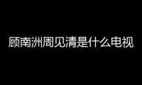 顧南洲周見清是什么電視