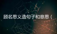 顧名思義造句子和意思（顧名思義造句子）