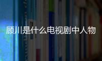 顧川是什么電視劇中人物