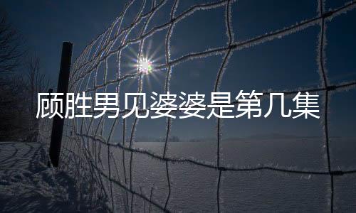 顧勝男見婆婆是第幾集