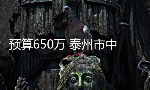 預算650萬 泰州市中醫(yī)院采購一批醫(yī)療設備