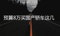 預(yù)算8萬(wàn)買國(guó)產(chǎn)轎車這幾款在市場(chǎng)上皆有口碑