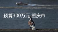 預(yù)算300萬元 重慶市一單位采購超高速流式細(xì)胞分選儀