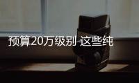 預(yù)算20萬級(jí)別 這些純電動(dòng)SUV極具質(zhì)感