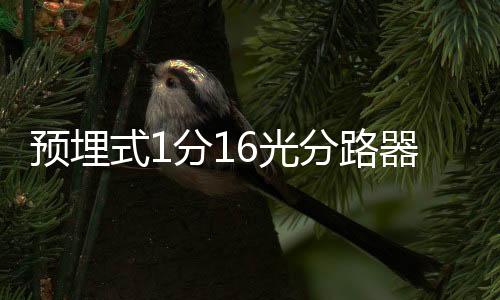 預(yù)埋式1分16光分路器箱種類及使用專題