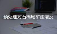 預處理對石棉尾礦酸浸反應效果的影響