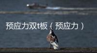 預應力雙t板（預應力）