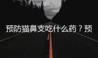預防貓鼻支吃什么藥？預防貓鼻支吃什么營養膏