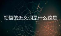 領(lǐng)悟的近義詞是什么這是怎么回事?