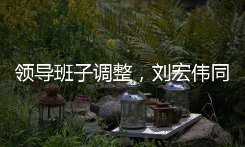 領導班子調整，劉宏偉同志任中交西筑黨委書記、董事長
