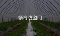 領(lǐng)將防盜門