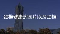 頸椎健康的圖片以及頸椎健康知識普及圖片的情況分析