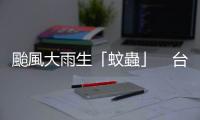 颱風(fēng)大雨生「蚊蟲」　臺南登革熱病例突破８００人！