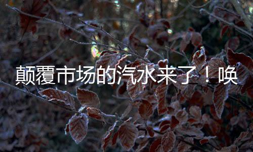 顛覆市場(chǎng)的汽水來(lái)了！喚燃果汁汽水，國(guó)潮汽水的典范飲品！