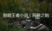 骷髏王者小說（網游之骷髏王者）
