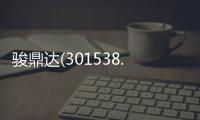 駿鼎達(301538.SZ)：將于3月20日在深交所上市