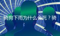 騎狗下雨為什么會死？騎狗下雨為什么會叫