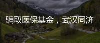 騙取醫(yī)?；?，武漢同濟醫(yī)院被罰近6000萬元