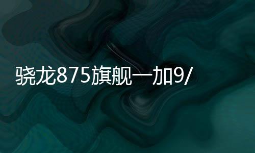 驍龍875旗艦一加9/9 Pro曝光，代號(hào)Lemonade