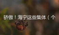 驕傲！海寧這些集體（個人）入選省級榜單！