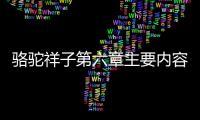 駱駝祥子第六章主要內(nèi)容 駱駝祥子第6章概括