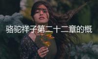 駱駝祥子第二十二章的概括 駱駝祥子第二十二章的概括是什么