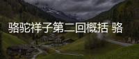 駱駝祥子第二回概括 駱駝祥子第二回概括內容