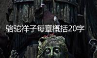 駱駝祥子每章概括20字左右(10章∽24章)