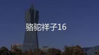 駱駝祥子16