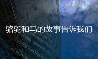 駱駝和馬的故事告訴我們什么道理 駱駝和馬告訴我們一個什么道理