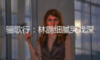 驪歌行：林鵬細膩哭戲深入人心 劇外互動引共鳴