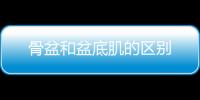 骨盆和盆底肌的區(qū)別