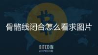 骨骼線閉合怎么看求圖片（骨骼線閉合怎么看）