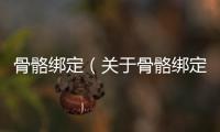 骨骼綁定（關于骨骼綁定的基本情況說明介紹）
