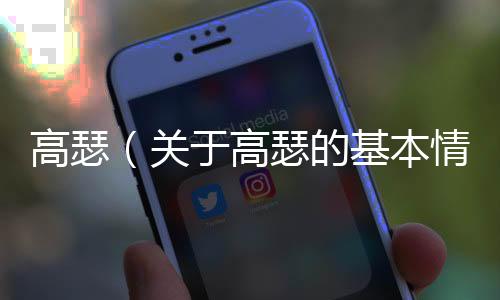 高瑟（關于高瑟的基本情況說明介紹）