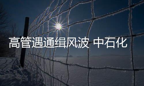 高管遇通緝風波 中石化冠德陷印尼項目困局