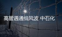 高管遇通緝風波 中石化冠德陷印尼項目困局