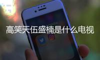 高笑天伍盛楠是什么電視劇