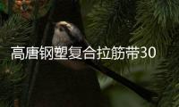 高唐鋼塑復合拉筋帶30020C施工方案