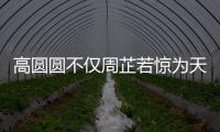 高圓圓不僅周芷若驚為天人，各類經典角色美出新高度