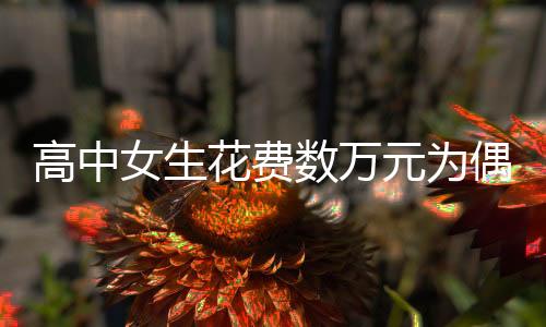 高中女生花費數萬元為偶像打榜，稱是死忠粉，絕不“白嫖”