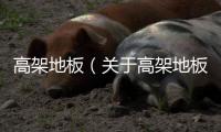 高架地板（關(guān)于高架地板的基本情況說(shuō)明介紹）