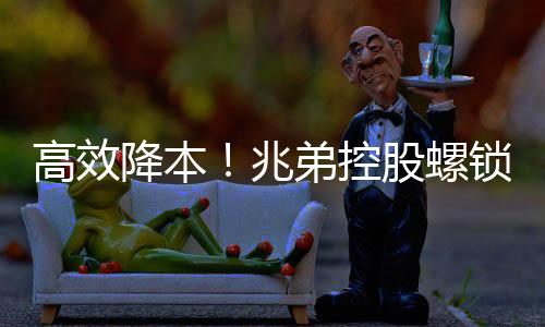 高效降本！兆弟控股螺鎖式實心異型方樁助力常州智造基地省下 192 萬