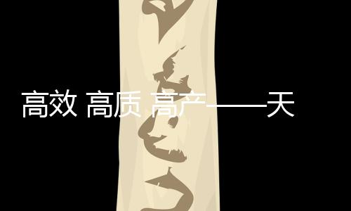 高效 高質 高產——天山南北秋收一線見聞