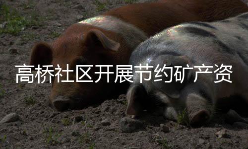 高橋社區開展節約礦產資源知識講座_