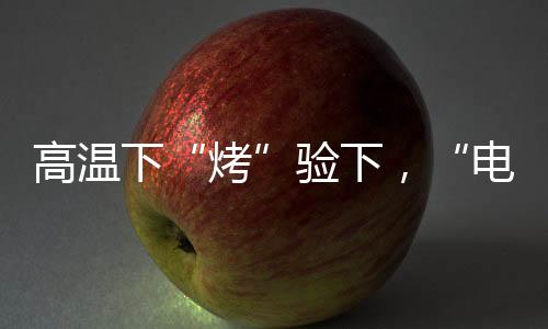 高溫下“烤”驗下，“電網衛士”特巡守護清涼