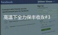 高溫下全力保豐收 數(shù)字化技術(shù)為農(nóng)作物防暑降溫